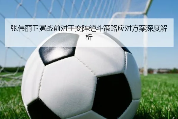 张伟丽卫冕战前对手变阵缠斗策略应对方案深度解析（LDSPORTS）