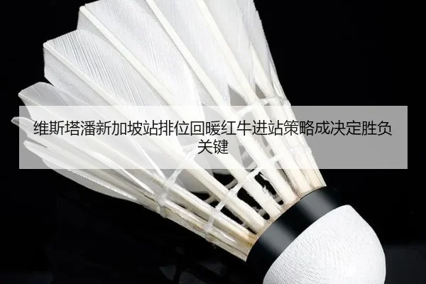 维斯塔潘新加坡站排位回暖红牛进站策略成决定胜负关键（LDSPORTS）